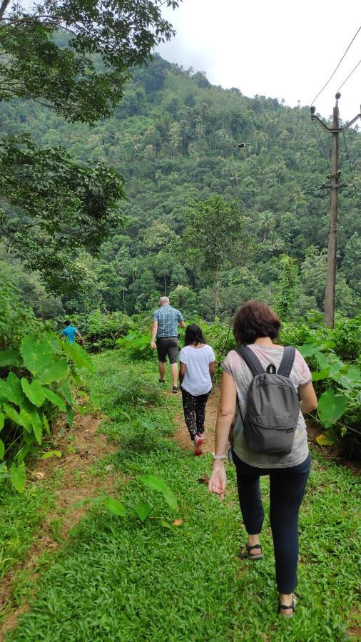 Vanilla County Heritage Plantation Bungalow Vagamon Buitenkant foto