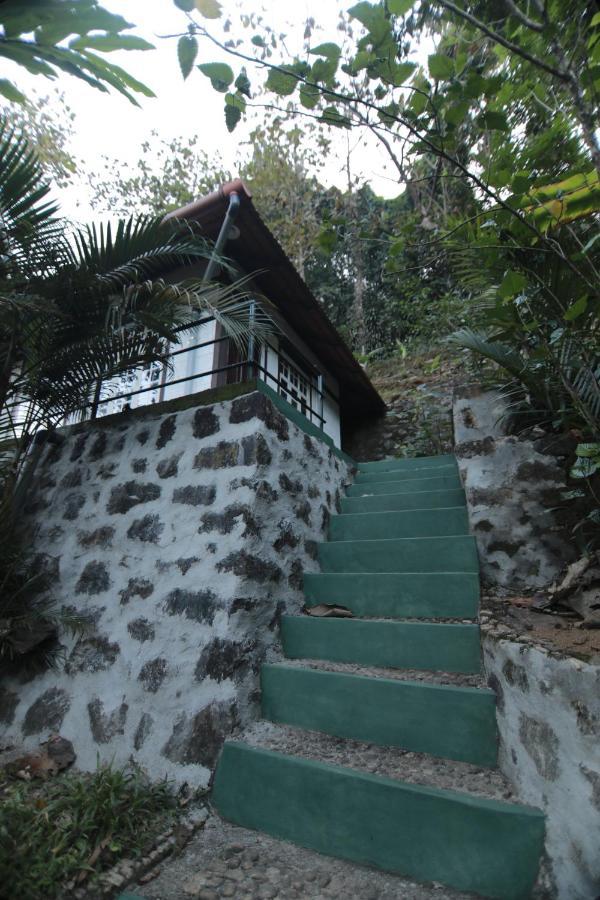 Vanilla County Heritage Plantation Bungalow Vagamon Buitenkant foto