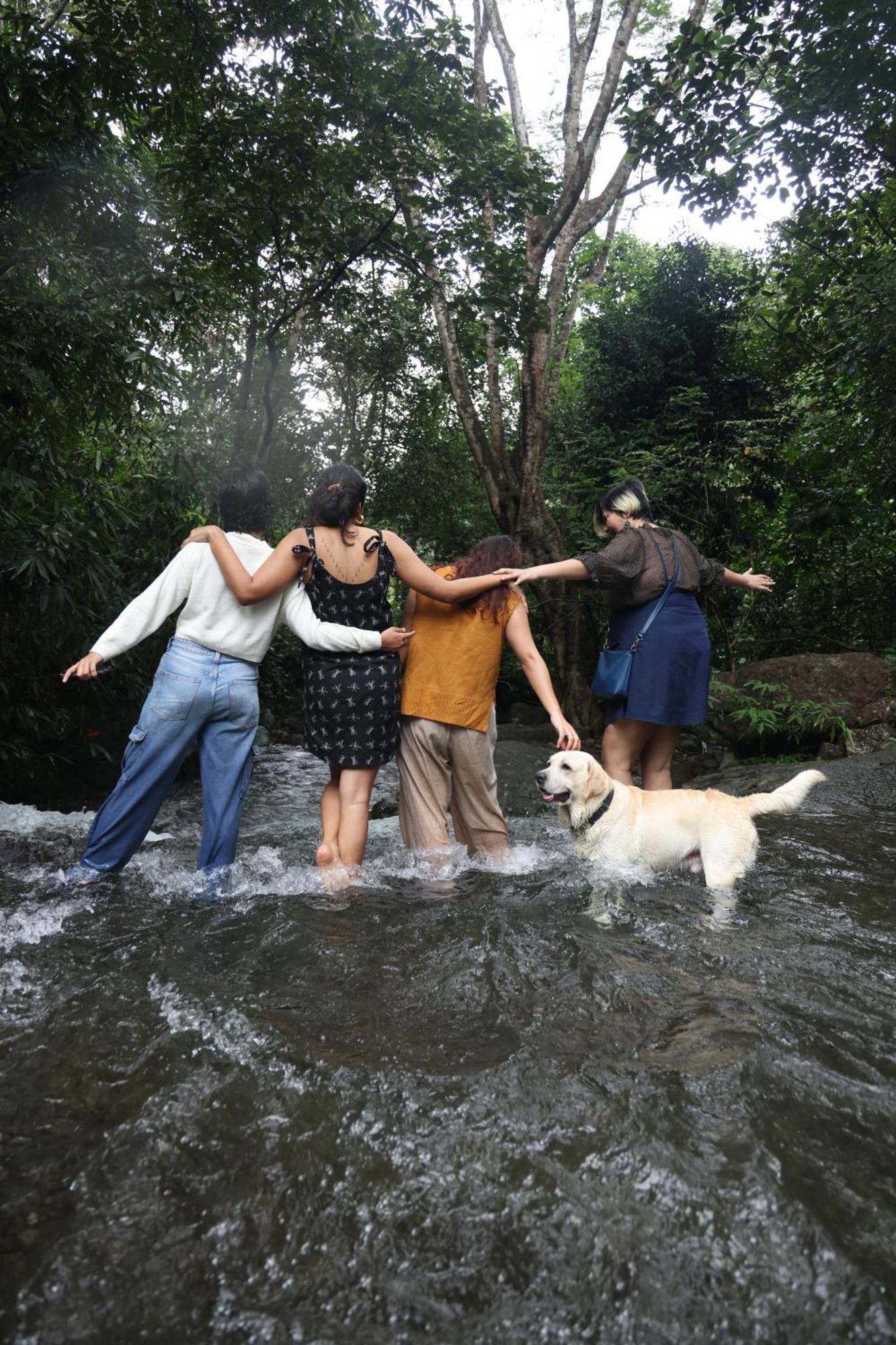 Vanilla County Vagamon Buitenkant foto